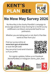 Kent’s Plan Bee - Please Take Part!