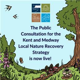 Help make space for nature in Kent